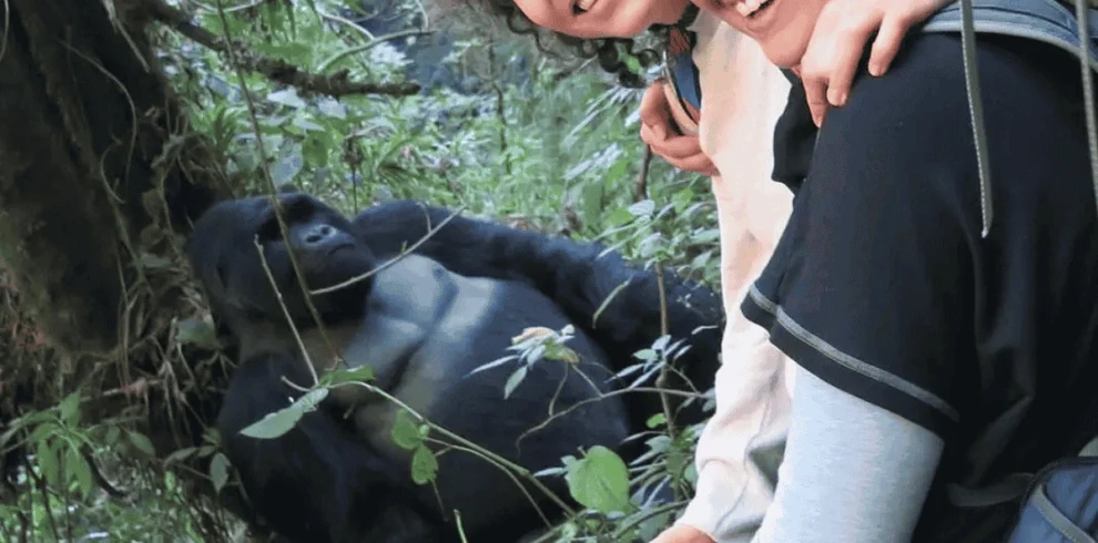 Picture 13 Days Classic Uganda Primates Tour uganda primate safari tour 01