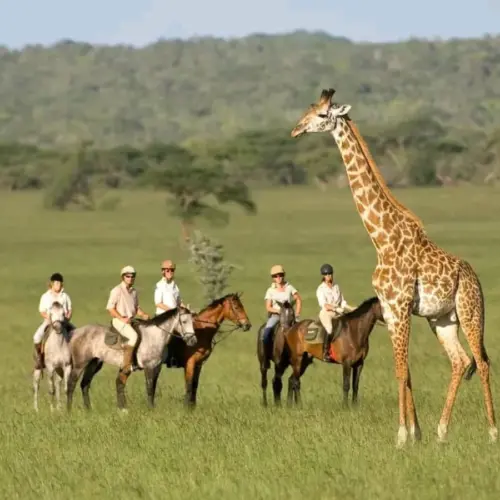 Horse Riding Safari Tanzania 01