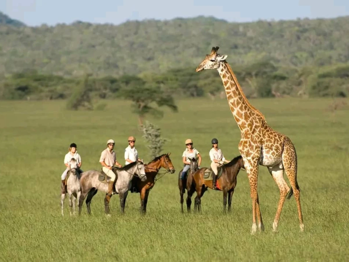 Horse Riding Safari Tanzania 01