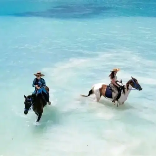 Horse Riding Safari Tanzania 06, Zanzibar