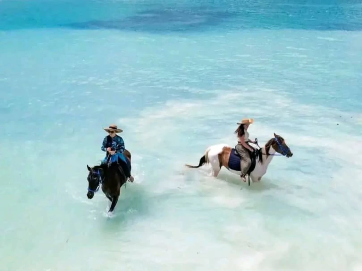Horse Riding Safari Tanzania 06, Zanzibar